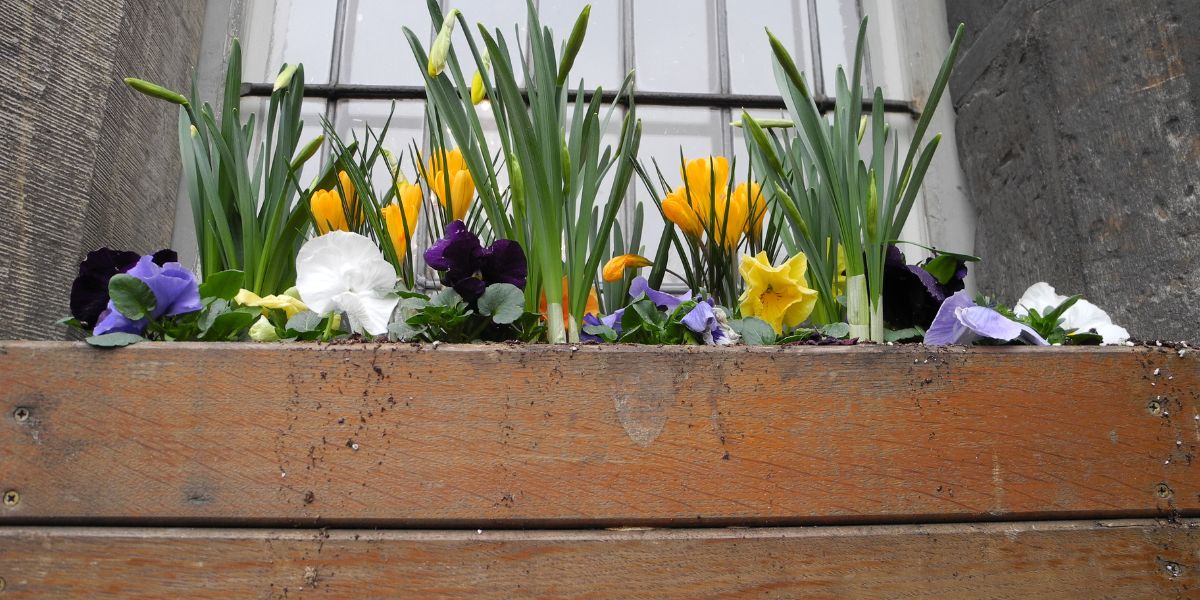 Top 5 Flower Arrangements That Make the Perfect Gift