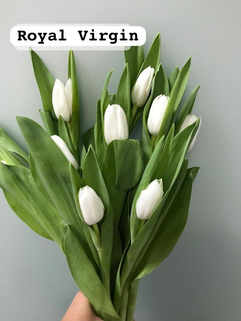 You're a Star - Lily Bouquet