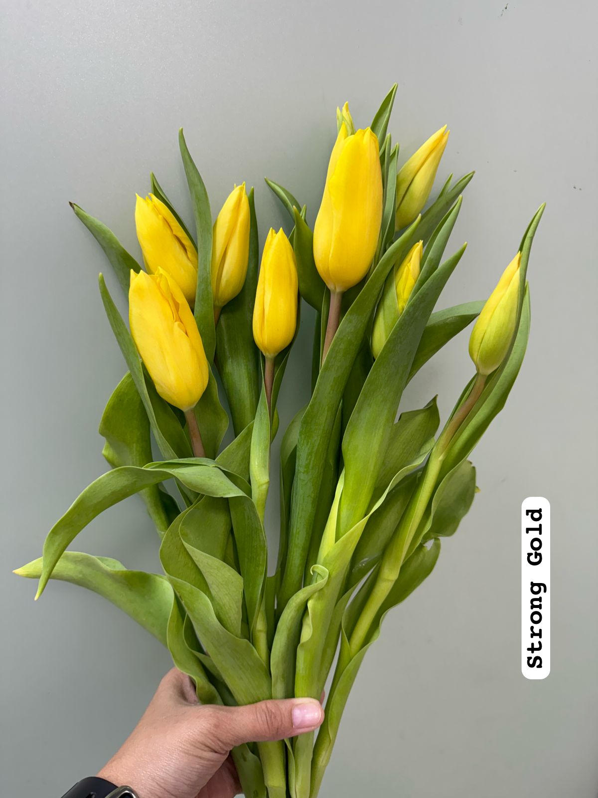 You're a Gem - Lily Bouquet