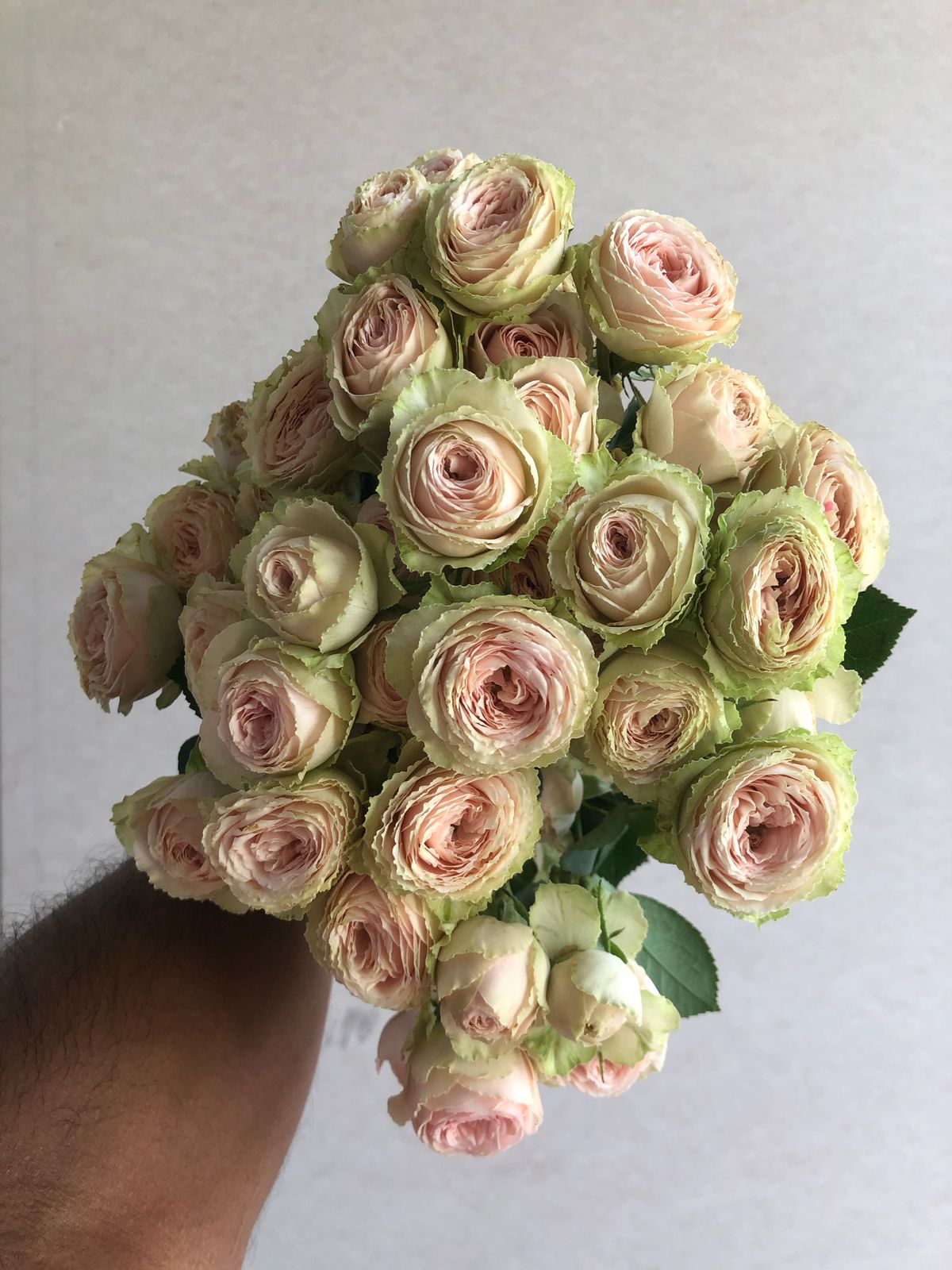 Sweet Memory - Flower Box