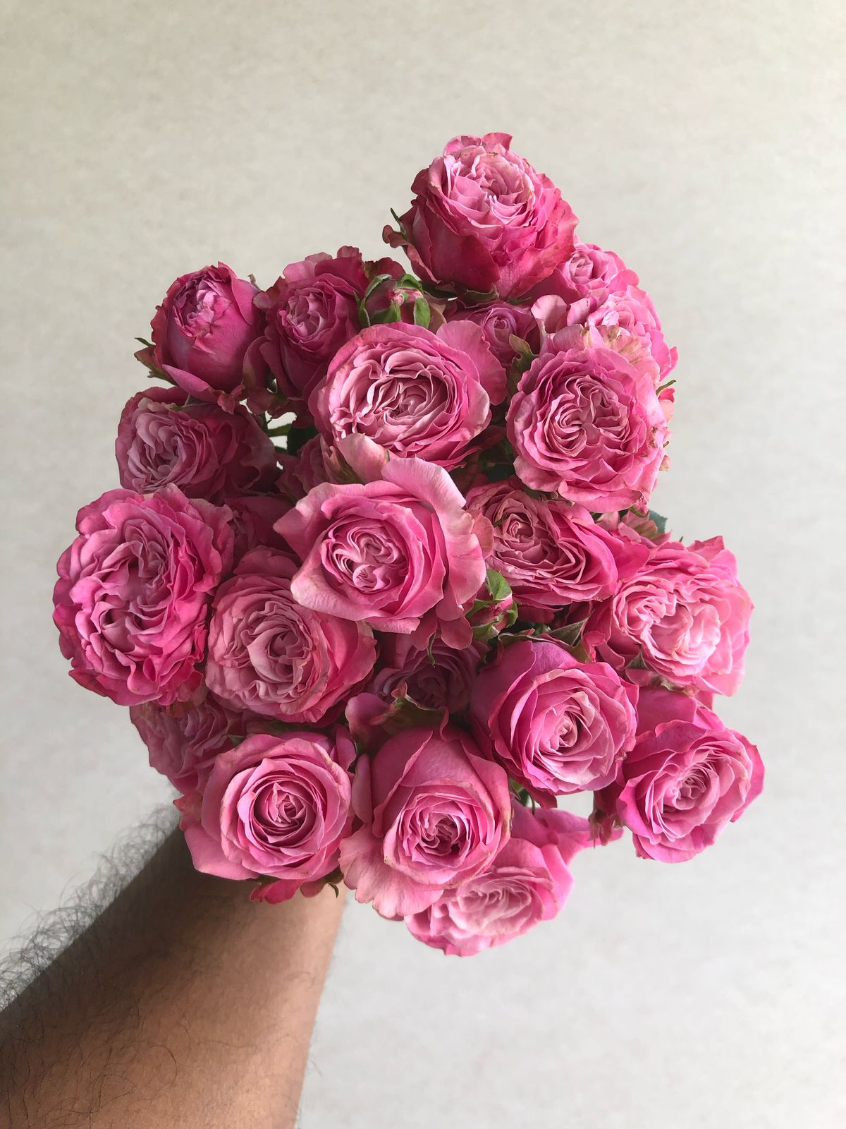 Sweet Blossom - Flower Box