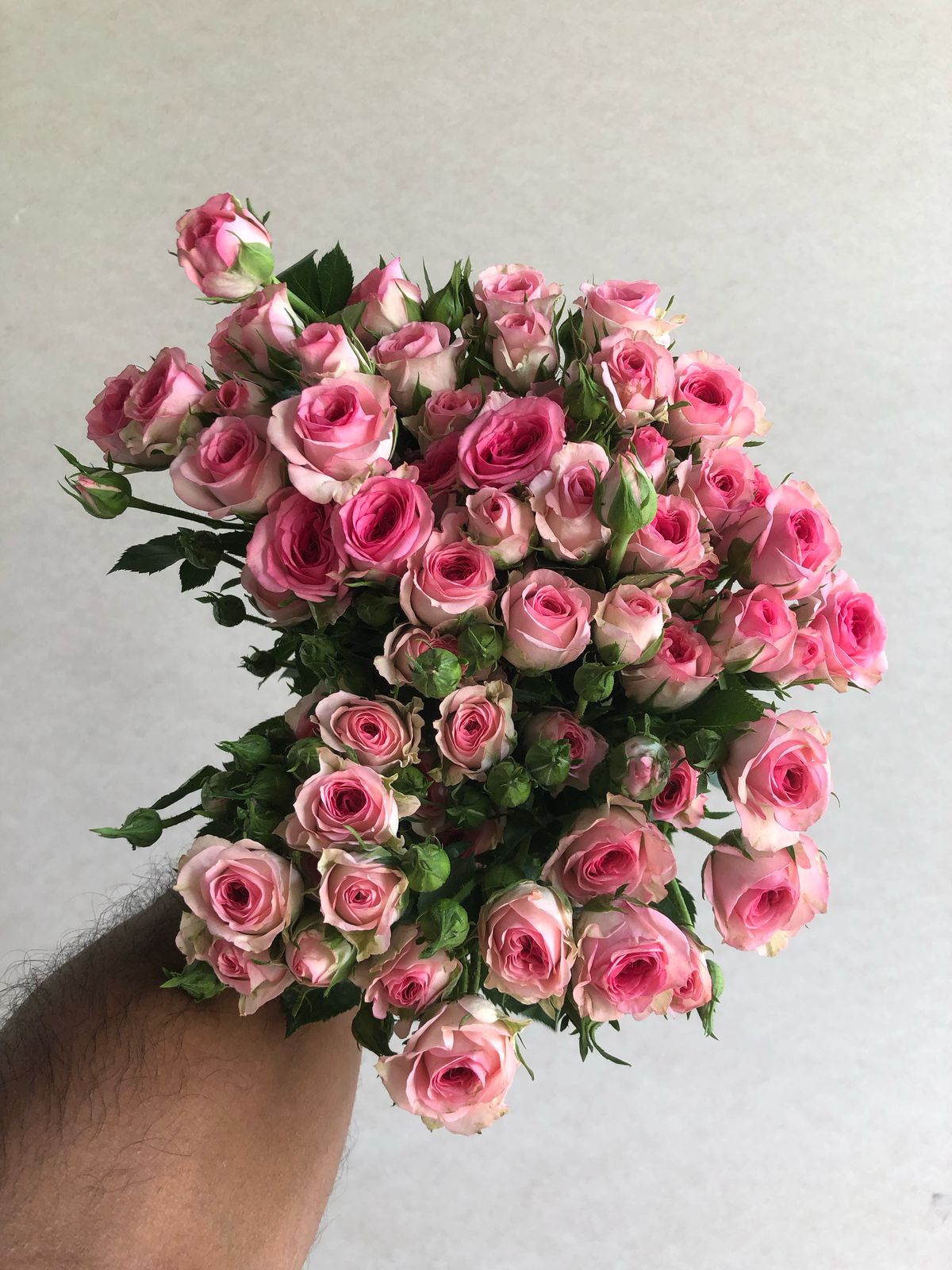 I Love You a Million