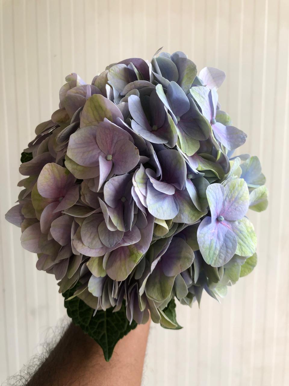 Sweet Heart - Mixed Bouquet