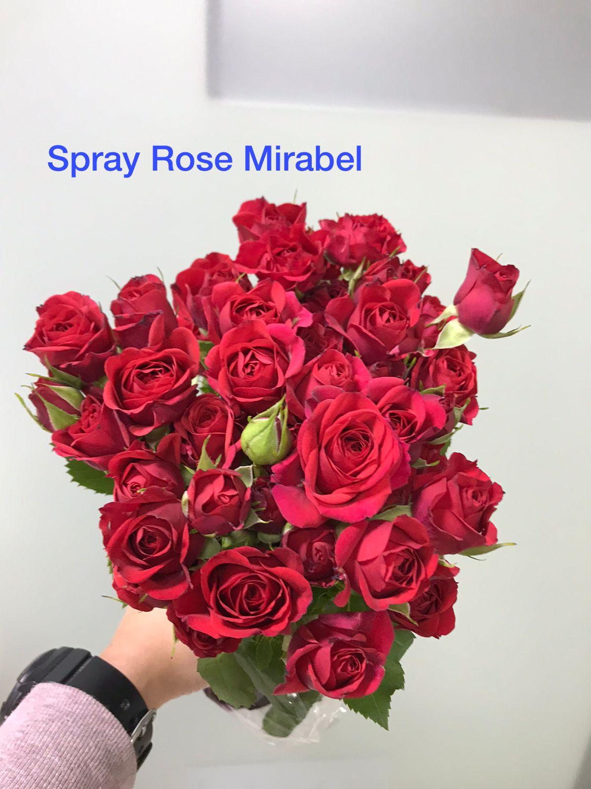 Love is ... - Mixed Bouquet