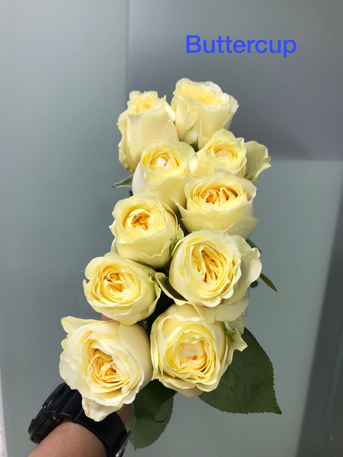 Delightful - Mixed Bouquet