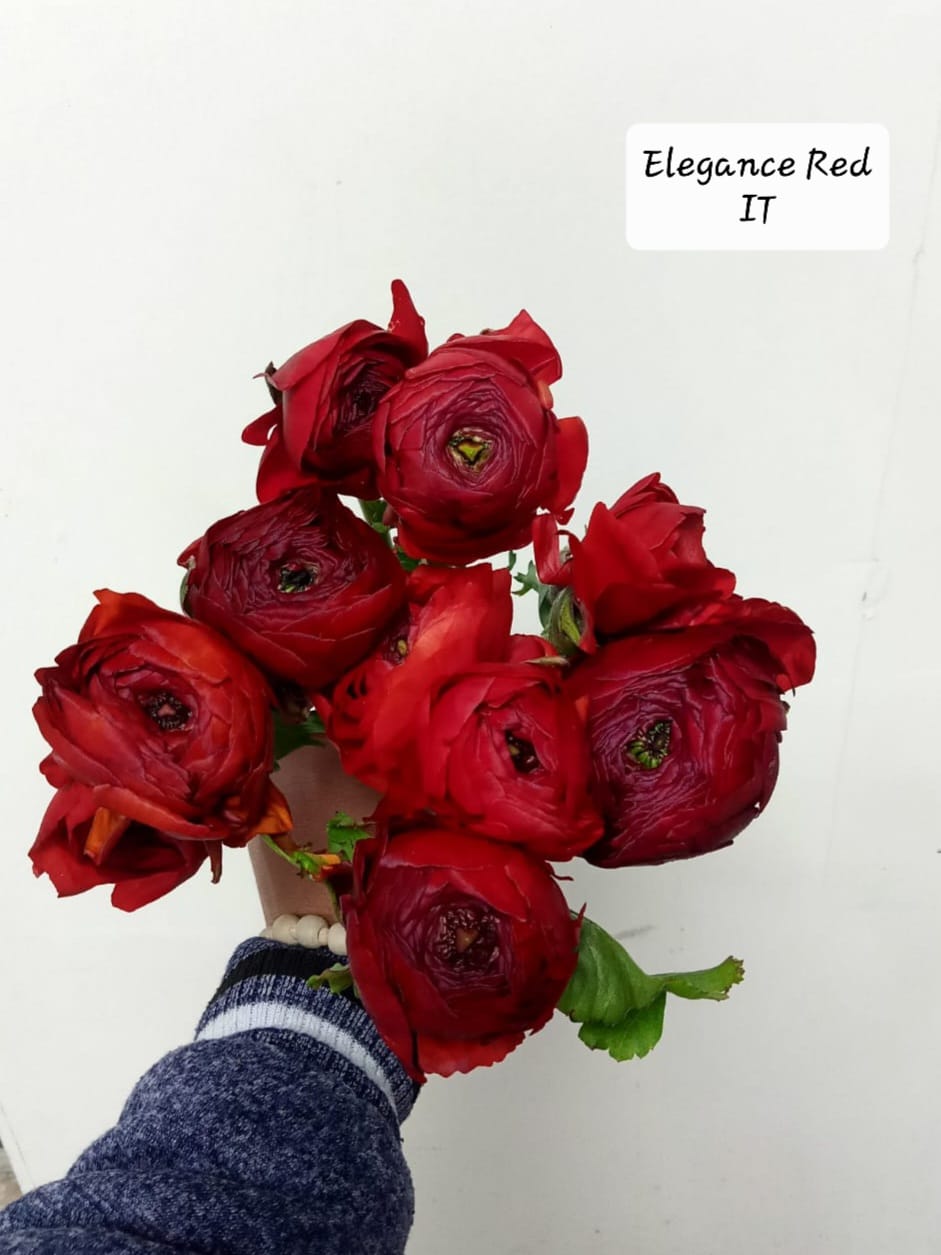 Sweet Heart - Mixed Bouquet