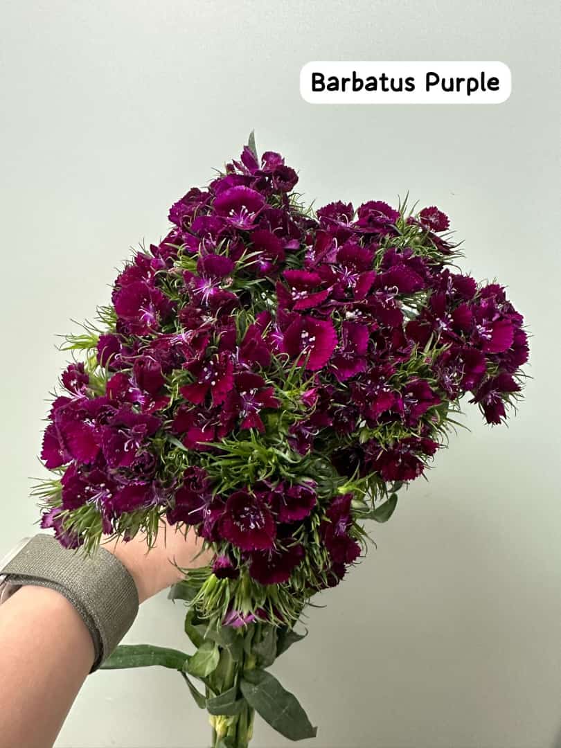 Love is ... - Mixed Bouquet