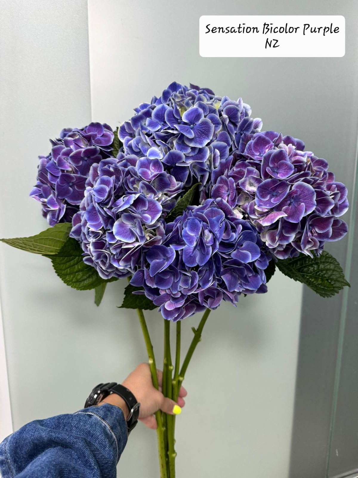 Moonlight - Mixed Bouquet