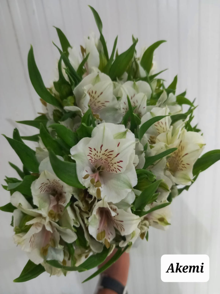 Snow White - Rose Bouquet